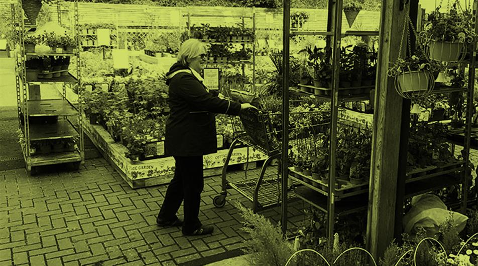 Garden centre shoppers